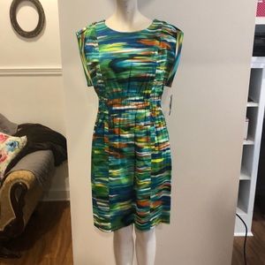 NWT Abstract Dress